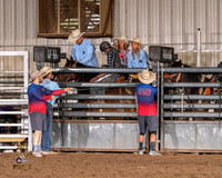 Saddle Bronc