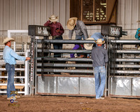 Bull Riding