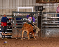 Steer Riding