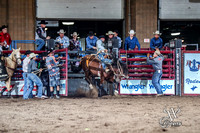 Saddle Bronc