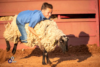 Mutton Busting