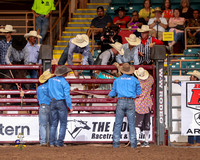 Saddle Bronc