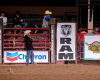 Saddle bronc