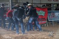 Mutton Busting