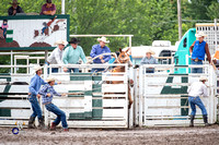 Saddle Bronc