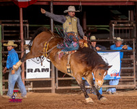 Saddle Bronc