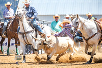 Steer Wrestling