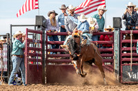 Saddle Bronc