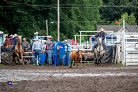 Team Roping Heeler