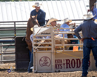 Steer Wrestling