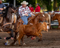 Steer Wrestling