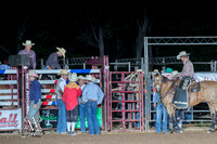 Saddle Bronc