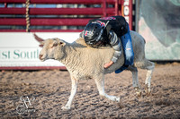 Mutton Busting