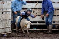 Mutton Busting