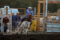 Steer Wrestling