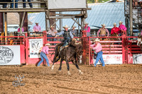 Saddle Bronc