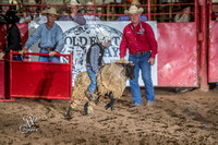 Mutton Busting