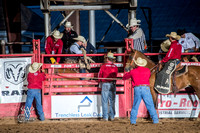 Saddle Bronc