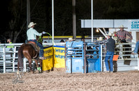 Team Roping