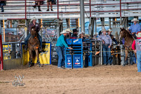 Steer Wrestling