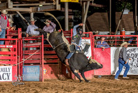 Bull Riding