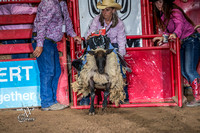 Mutton Busting