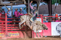 Bull Riding