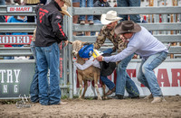 Mutton Busting