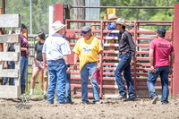 Mutton Busting