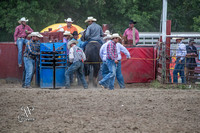 Steer Wrestling