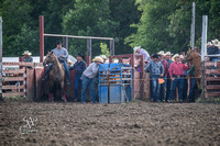 Steer Wrestling