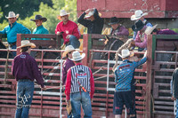 Saddle Bronc