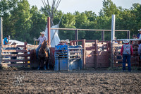 Team Roping