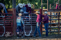 Bull Riding