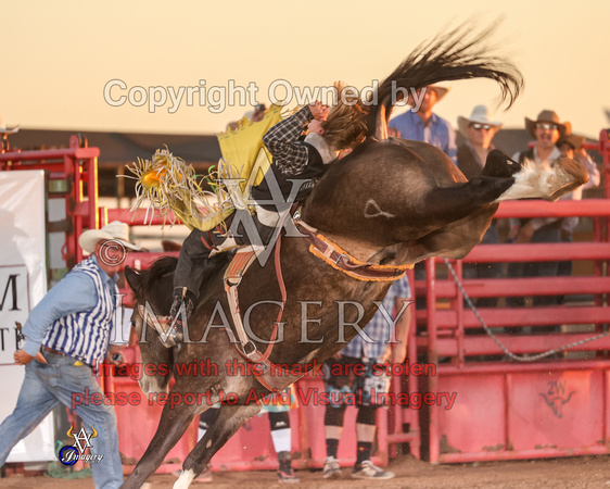 NMSU0730