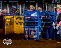 Steer Wrestling