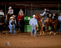 Team Roping