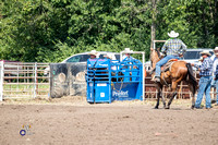 Team Roping Header