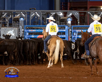 Team Penning