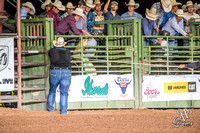 Bull Riding Section 2