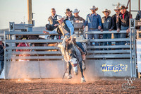 Saddle Bronc