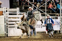 Bull Riding