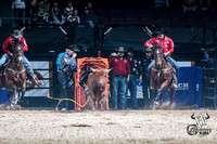 Steer Wrestling