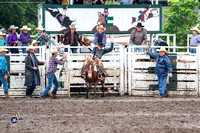 Saddle Bronc