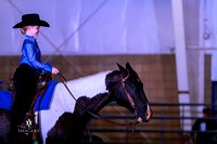 Class 735 ~ Walk/Trot Horsemanship All Ages