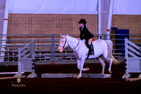 Classes 714 & 715 ~ Equitation & Hunter Over Fences