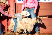 Mutton Busting