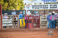 Steer Wrestling