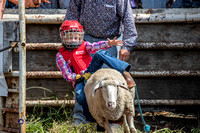 Mutton Busting