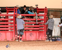 Saddle Bronc